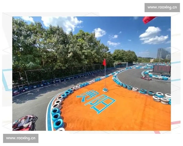 速度与激情碰撞的卡丁车竞速赛场荣耀之路青少年梦想与团队精神